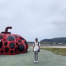 진호아트컨설팅 네이버블로그