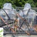 명성건강원 이미지