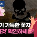 봄내음 가득한 꽃차 이미지