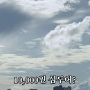 꼬란 네이버블로그
