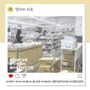 서울 홍대 가챠 투어 더쿠 홍대입구점과 애니플라자 방문 후기