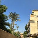 뷰호텔 | Beit Khufu Pyramid Hotel, 기자지역 피라미드 뷰 호텔 후기