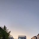 참나무 통닭 바베큐