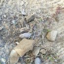 계창초 병설유치원 이미지