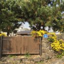 서호달빛 이미지