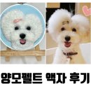 상이 | [양모펠트 강아지 액자 주문제작 후기] 94 그리고 상이 (펠트페인팅 제작과정)