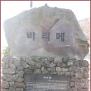 [1월 19일(월요일)]제주 오름 기행과 한담 해변산책로 이미지