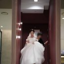 이플 | 본식스냅 &#39;이플스냅&#39; 후기 — 예산은 지키고, 감성은 남겼던 결혼식