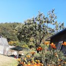 태전농장 이미지