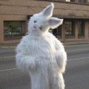 안성 내츄럴리조트 이미지