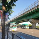 수원-1541 이미지