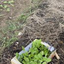 해도그린마트 이미지