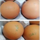 계림2축산 이미지