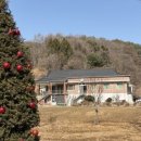 스테이 원평호 이미지