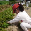 은지농장 이미지