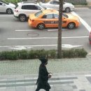 카몽 이미지