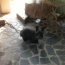 금주산방 까사 펜션 이미지