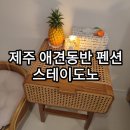 스테이 도노 | 제주 동쪽 애견동반 독채 펜션 함덕 근처 리얼 감성숙소 스테이도노