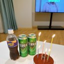 거제 한화 벨버디어 숙소 여행 후기 (외도 보타니아, 소탐돼실)