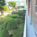 삼광고등학교 이미지