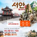 제주로국제여행사 이미지