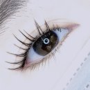 아이돌짐 | 마곡 속눈썹펌연장 라보떼래쉬 요즘 핫한 아이돌속눈썹 펌포인트연장 받고온후기