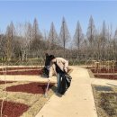 아산 이미지