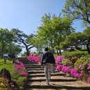 제천 가볼만한 곳 , 청풍문화유산단지 솔직후기. 서이추 환영!