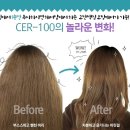 사과나무헤어