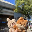 (주)피어식스 이미지