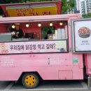 앞산강아지 이미지