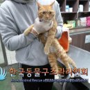 방죽로 이미지