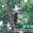 주식회사초원 이미지