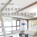 피앤피제주 네이버블로그