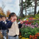 🌼국화보다 우리(with.국화작품전시회)🌼 이미지