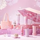 체리블라썸 이미지