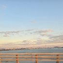 리나센트 이미지