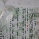 한국인삼사 - 보령시 중앙시장1길 22 | 한국인삼사