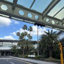 월정리 | 제주도 여행 후기 🌴 -월정리