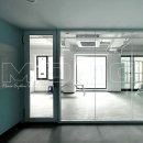 모노시스템monosystem