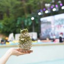 우도앤 막국수 | 양양커플여행 더앤리조트 푸드포레스트 더나이트 더앤서프클럽 바비큐뷔페 까지 뿌셔뿌셔