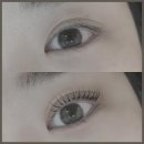 브로우수