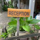 중부-현장-중부-888 | 푸꾸옥 M빌리지 트로피컬 객실 수영장 얼리체크인