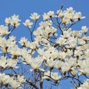 부산컴퓨터 과학고교2 이미지