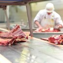 우리축산물유통 이미지