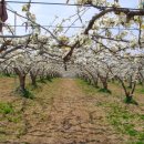 풍천농장 이미지