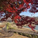 용공인중개사사무소 이미지