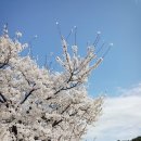 카이스트 세종관 이미지