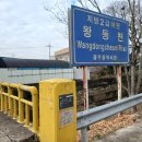 왕동천 이미지