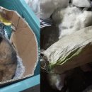 코인스테이지 동전노래연습장 이미지